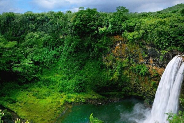 Ein malerischer Ort mit einem Wasserfall und viel Grün