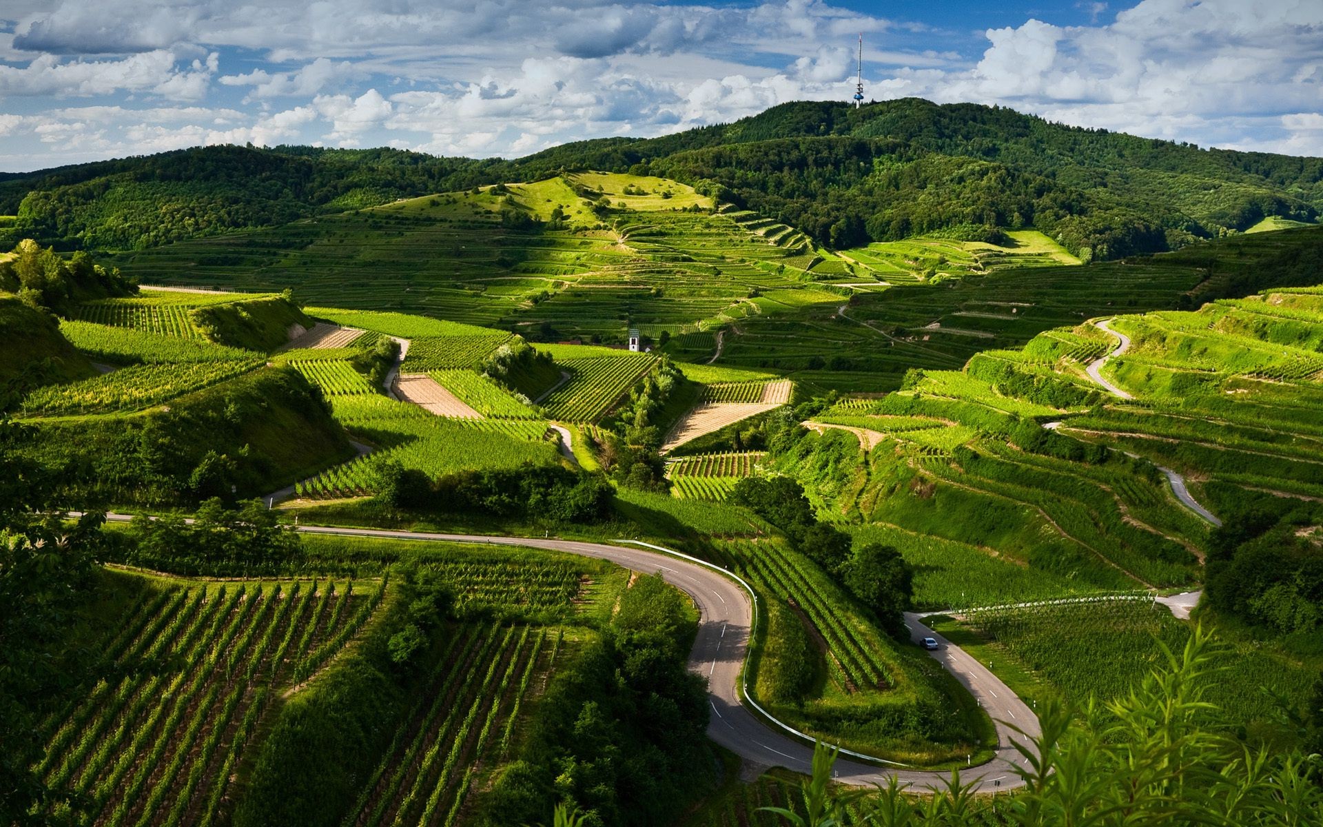 paesaggio terreni coltivati agricoltura viaggi paesaggio campagna vigneto valle fattoria collina campo natura rurale all aperto terreno agricolo albero cielo vite erba montagna