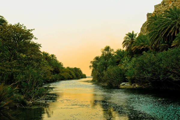 Ein Fluss mit einer leichten Strömung zwischen den Büschen