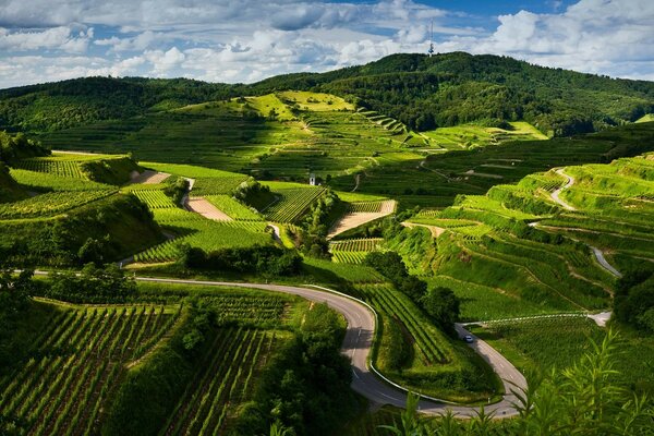 Paesaggio della strada di montagna in estate