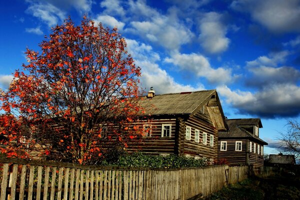 Foto de paisagem rústica de outono