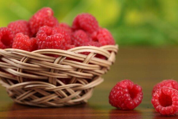 Sweet freshly picked raspberries in a basket