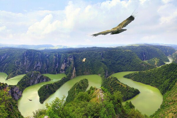 Río a vista de pájaro