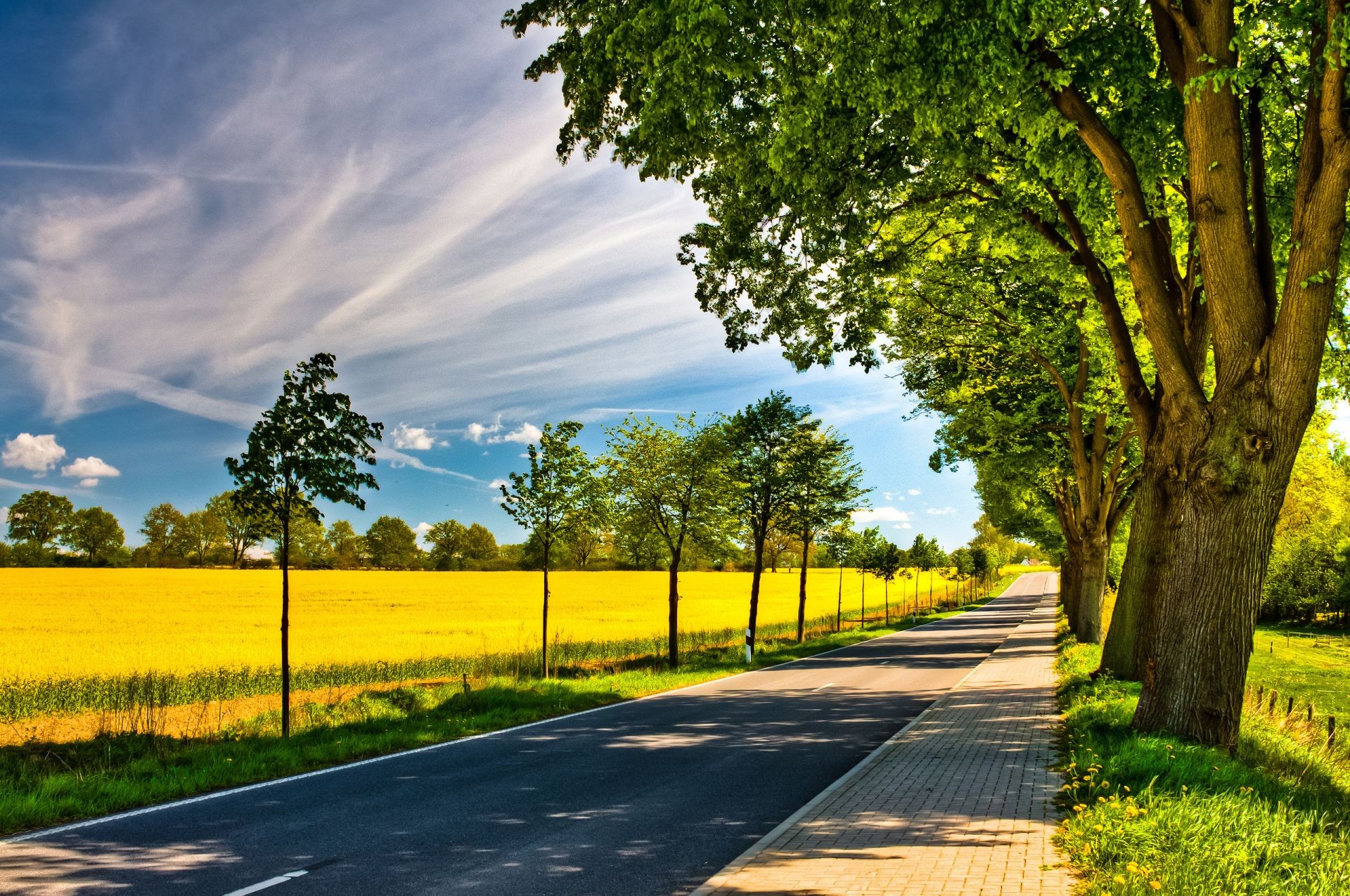 felder wiesen und täler landschaft des ländlichen natur baum straße landschaft gras führer sommer holz im freien blatt gutes wetter aussichten landschaftlich sonne land hell feld