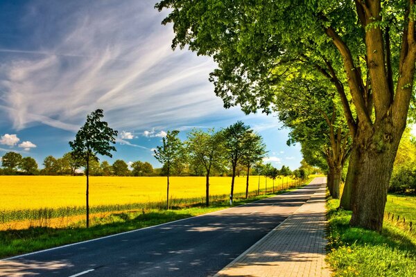 Nature ciel route arbres champ