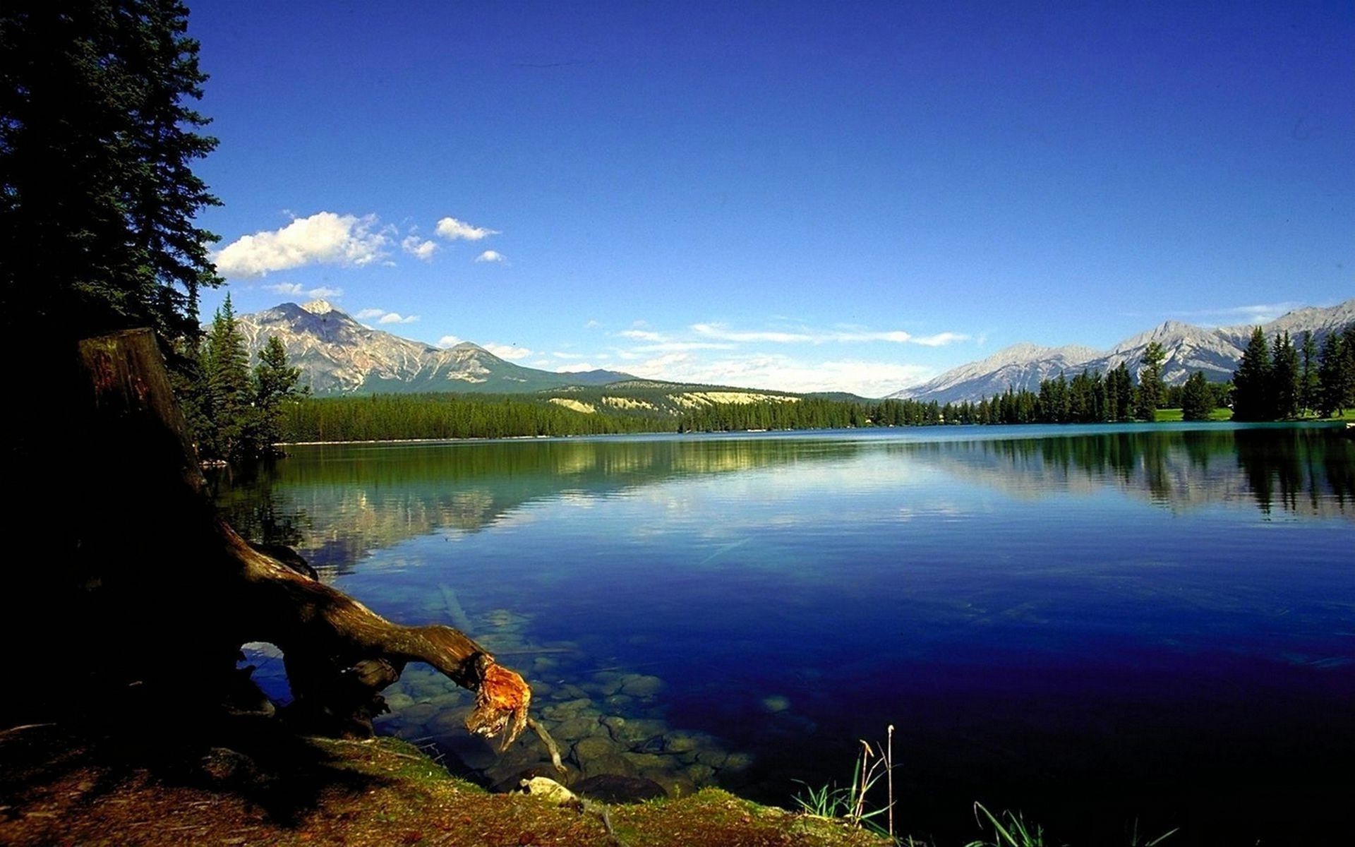 paesaggio lago acqua riflessione paesaggio natura all aperto alba fiume albero cielo montagna viaggi legno tramonto sera scenic plesid