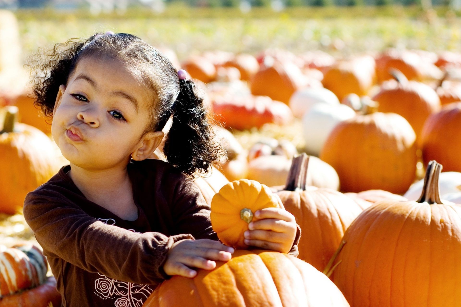 children fall child pumpkin thanksgiving halloween outdoors