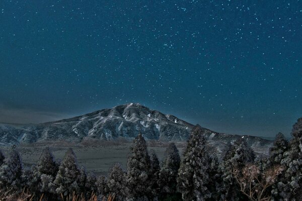 Le plaisir paradisiaque n est pas seulement dans les rêves