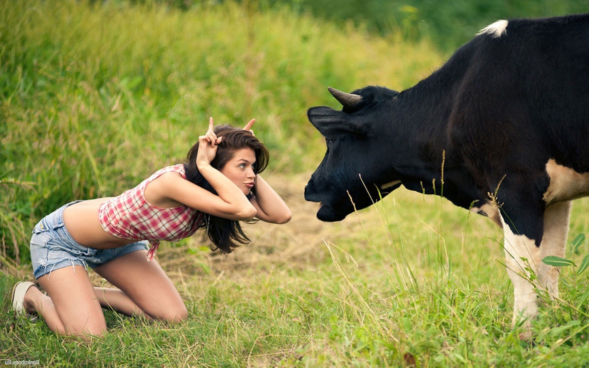 otras chicas hierba naturaleza campo heno verano al aire libre