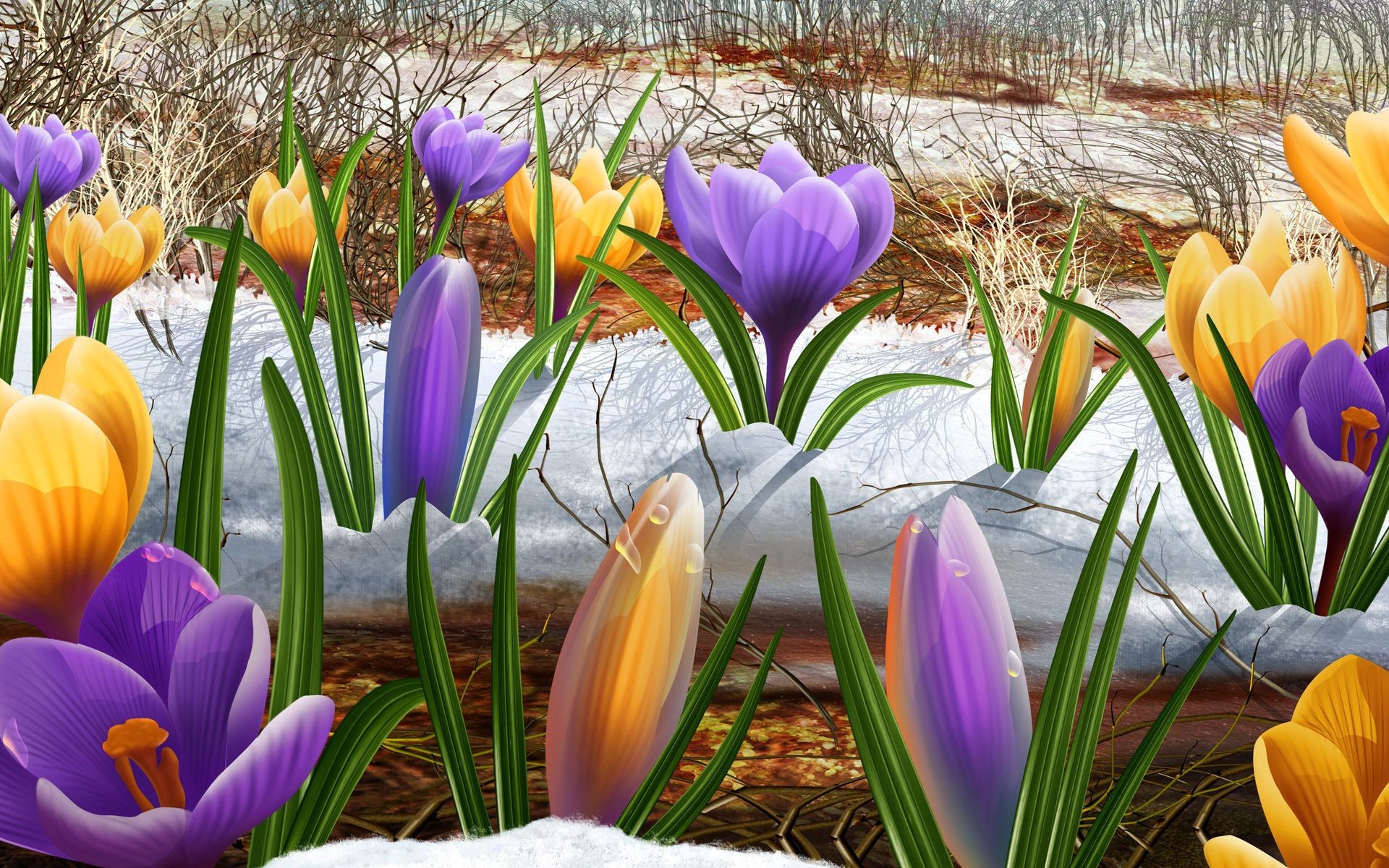 çiçekler doğa çiçek paskalya bahçe flora sezon yaprak parlak çiğdem renk çimen çiçek yaz taçyaprağı lale çiçek açan park alan güzel hava