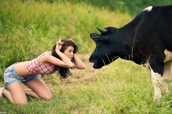 Photo of a girl with a cow in a field