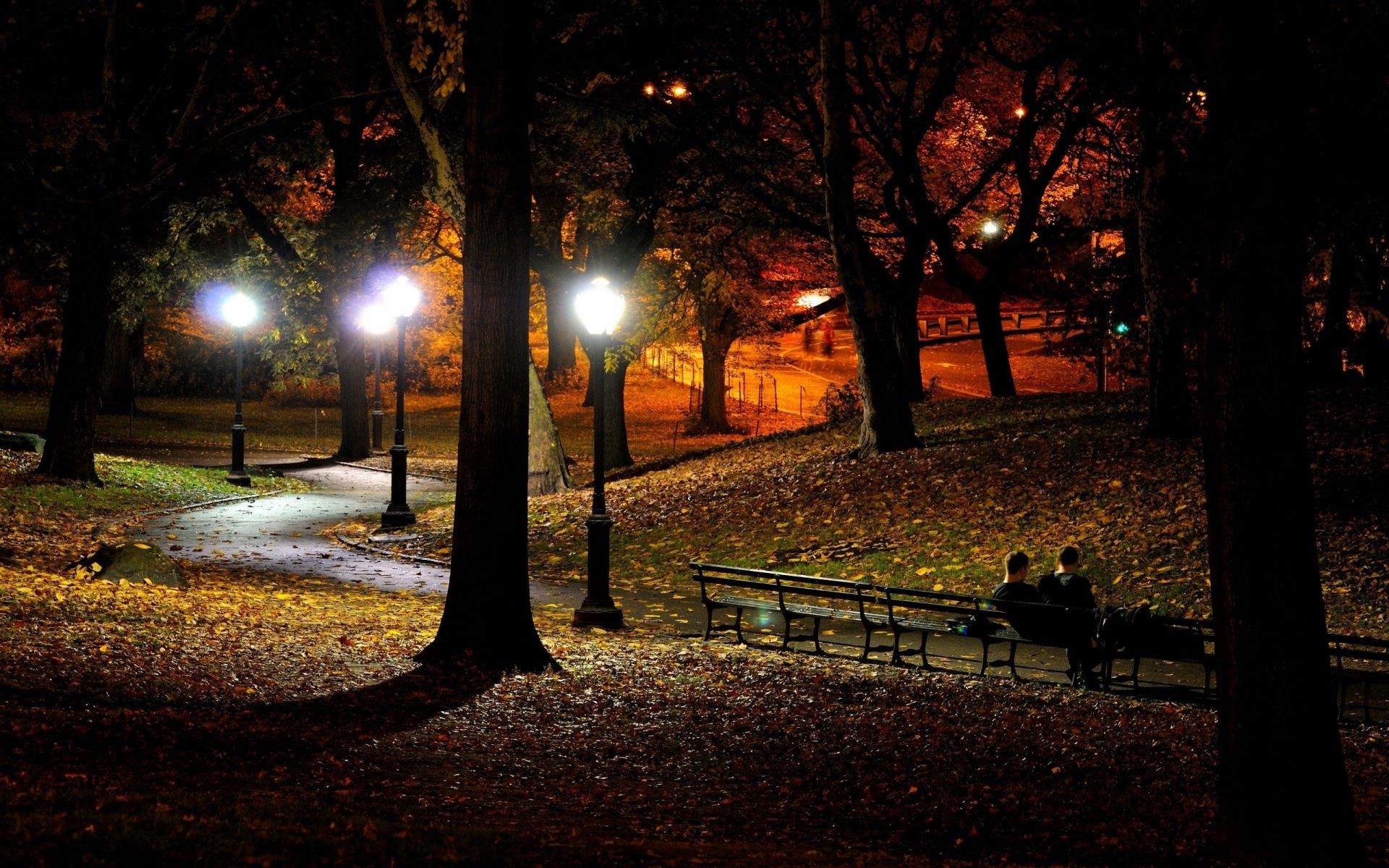 cidade árvore luz rua sombra estrada paisagem beco outono parque amanhecer banco