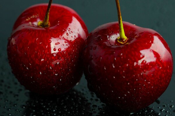 Juicy cherry berries in dewdrops close-up