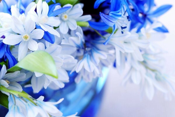 Hermosas flores. Ternura en colores azules