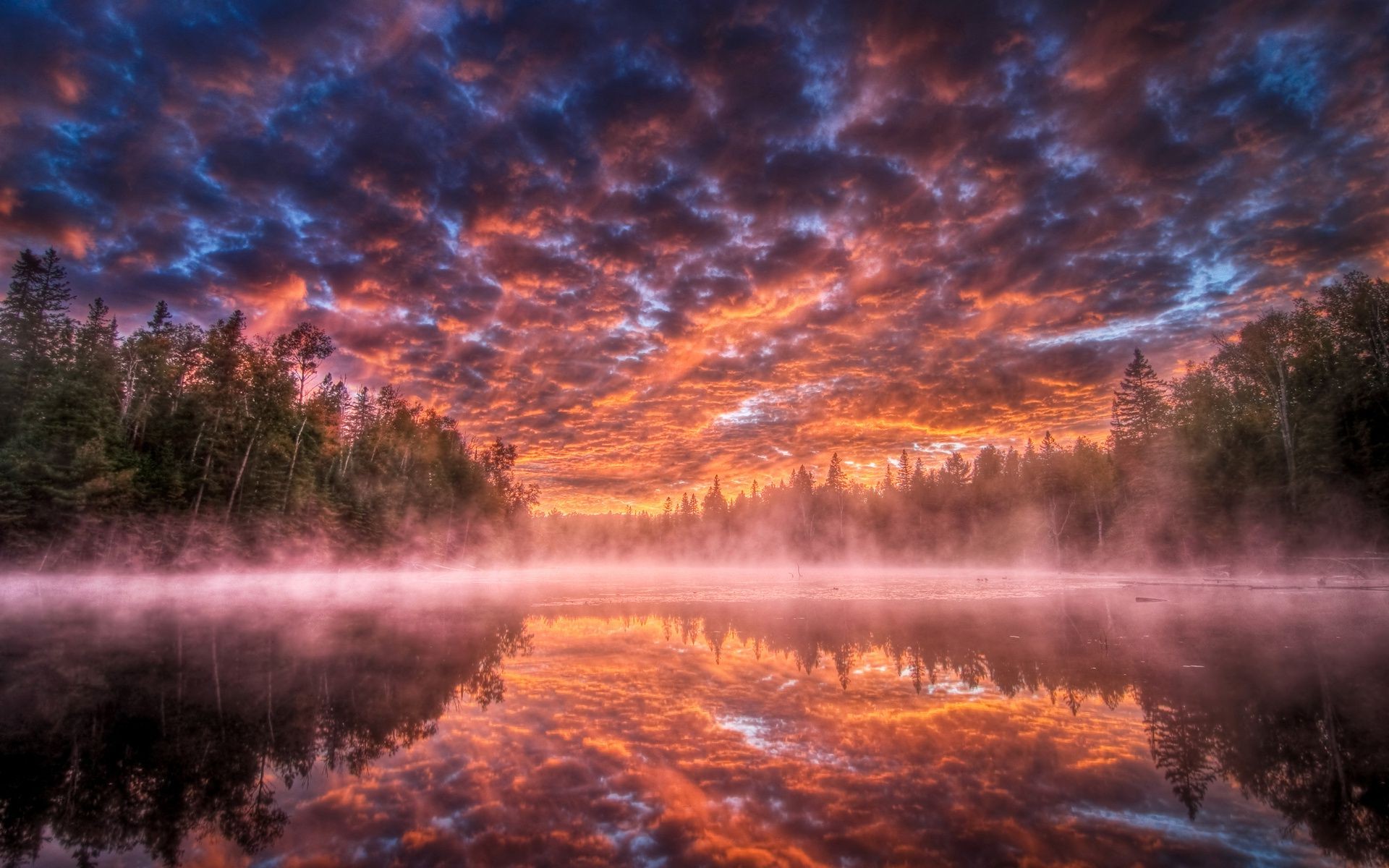 coucher de soleil et aube aube soir paysage coucher de soleil eau crépuscule à l extérieur météo nature arbre