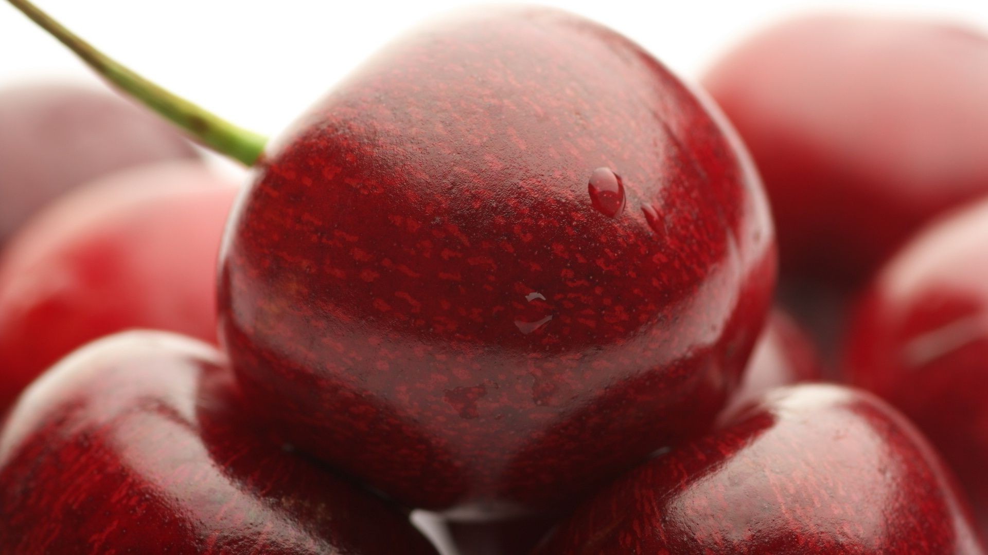 berries fruit food confection berry juicy color agriculture sweet delicious health grow still life summer nutrition close-up vitamin healthy