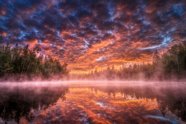 Sunset and dawn in the misty forest