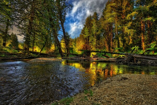 Autumn landscape with pond and stream