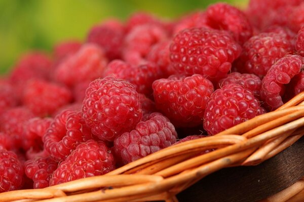 Wicker basket with sweet raspberries