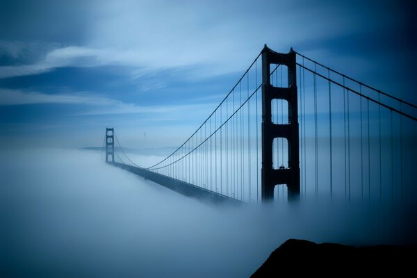 Puente colgante envuelto en niebla