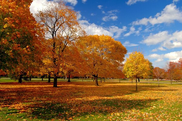 Herbstlandschaft: Gelb auf Blau