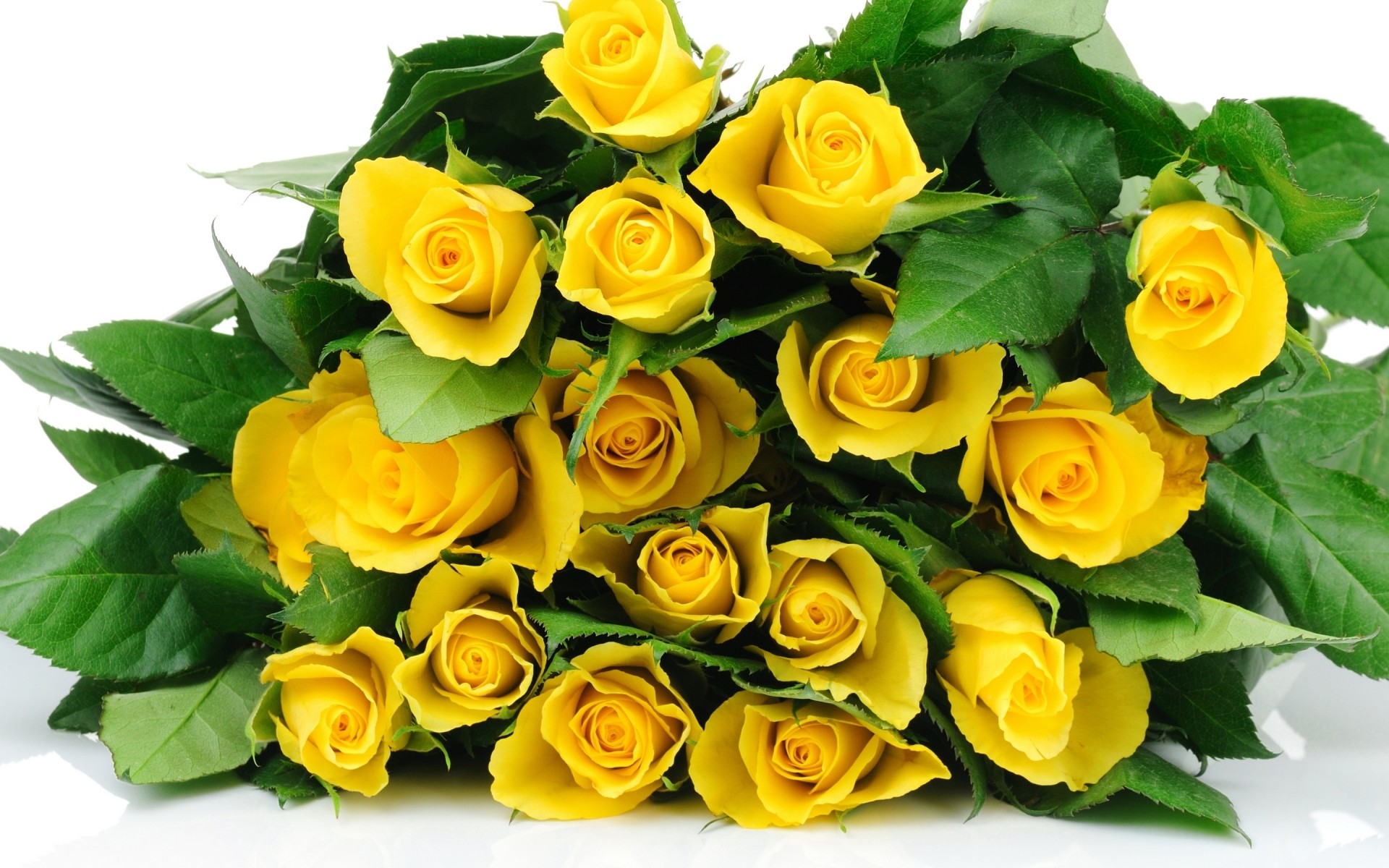 flowers rose bouquet love romance flower floral cluster leaf gift petal blooming romantic flora wedding florist arrangement anniversary bud birthday nature yellow roses background