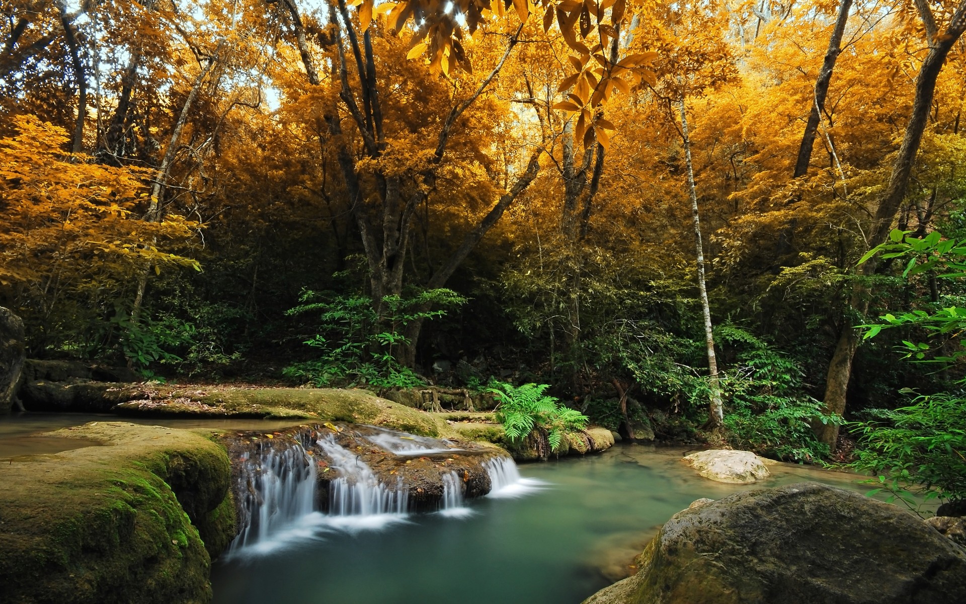 landscapes wood fall leaf water nature tree landscape outdoors river scenic park stream lush travel environment waterfall scenery creek forest autumn landscape wild space