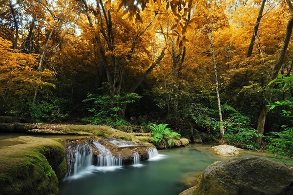 Das leise Geräusch des Wassers im Wald