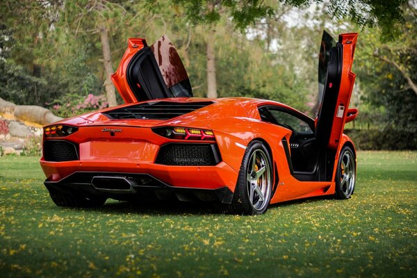Оранжевый Lamborghini для настоящих гурманов