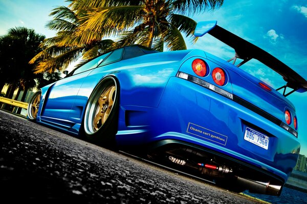 Bottom view of a car with palm trees