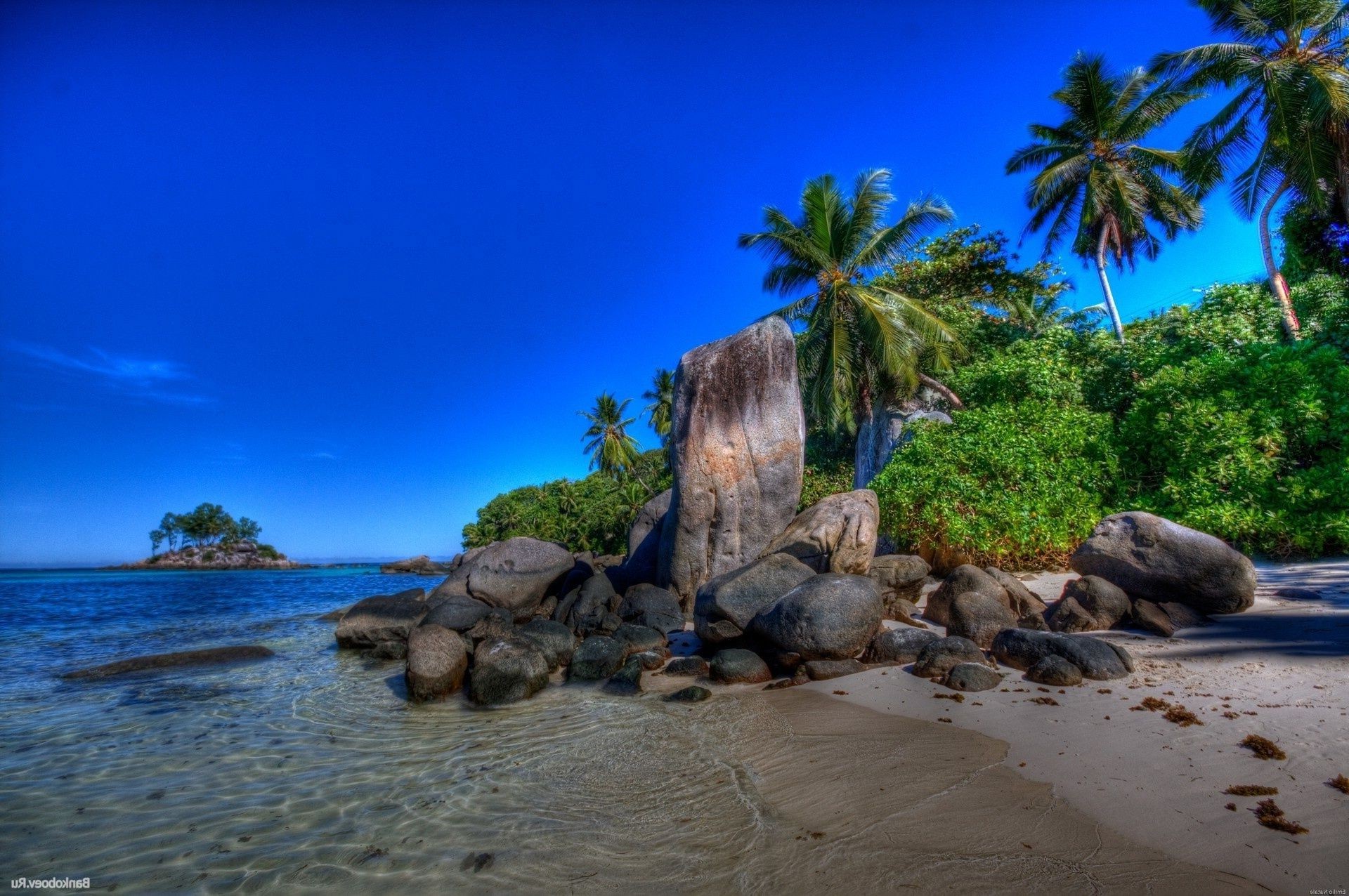 mer et océan plage mer eau tropical océan sable île paysage voyage paradis vacances palm mer arbre baie côte été exotique idylle détente