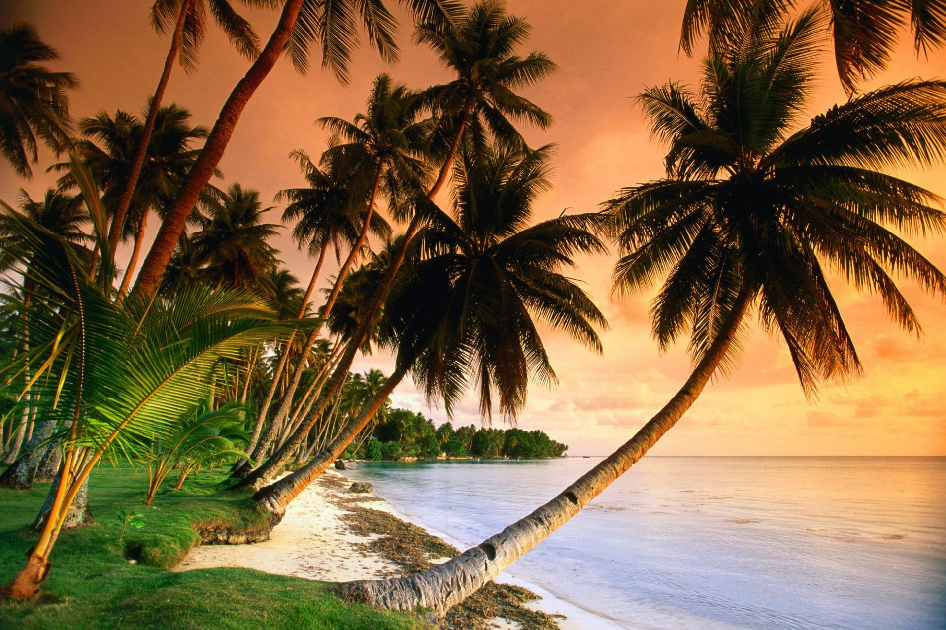 the sunset and sunrise beach palm tropical seashore sand ocean coconut island resort vacation paradise seascape exotic sun idyllic travel water summer relaxation bay