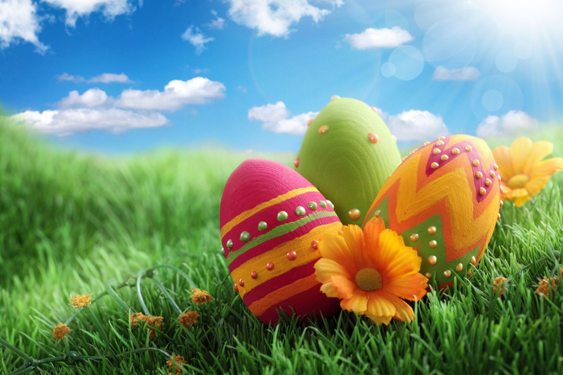 easter grass hayfield nature field flower summer season egg color bright outdoors lawn fair weather sun