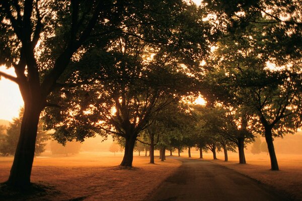 Camino confuso a casa al amanecer