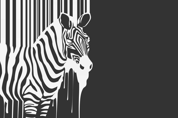 Ilustração de zebra em preto e branco