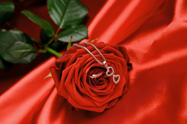 Rose sur tissu rouge avec pendentif