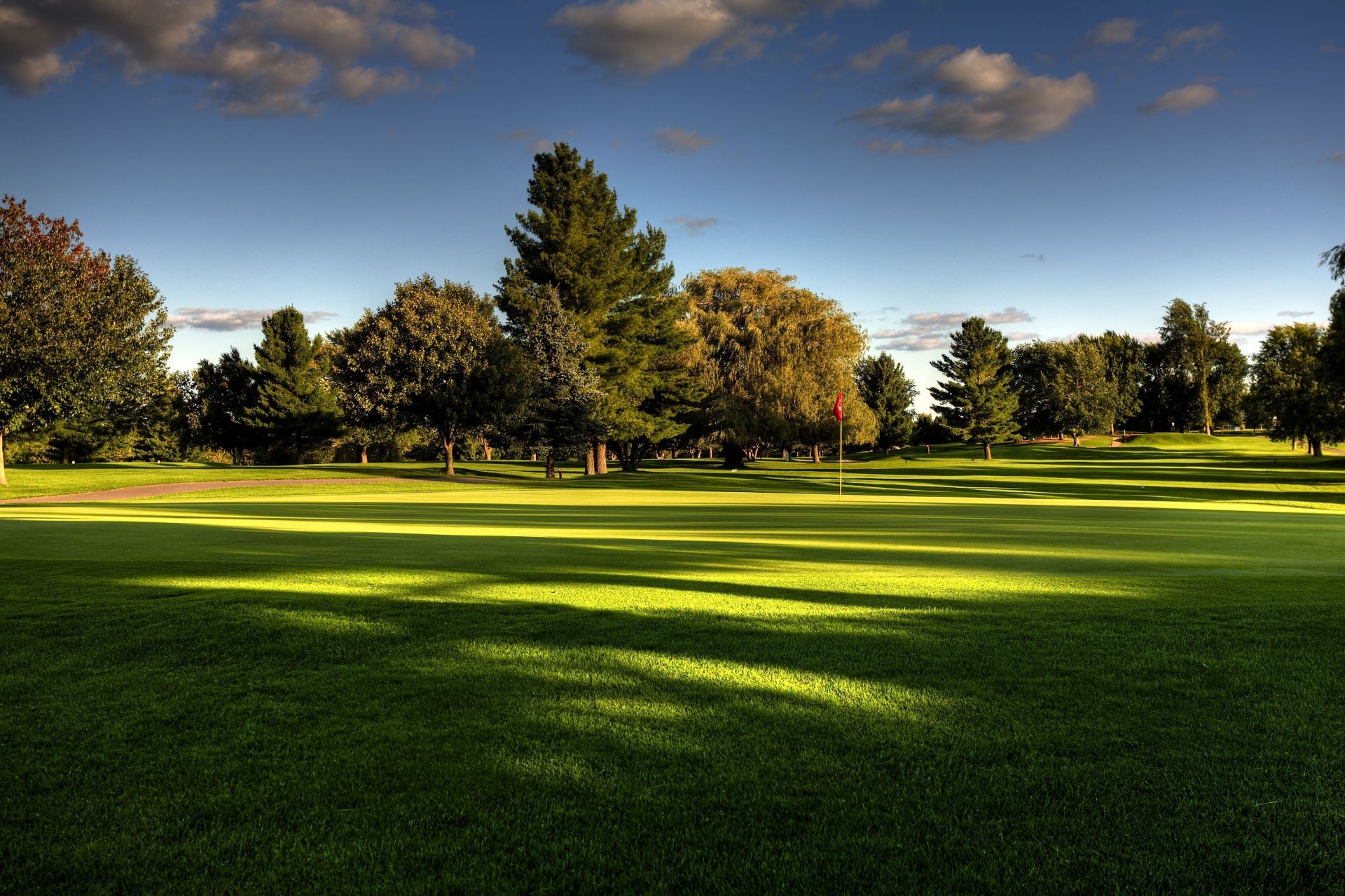 felder wiesen und täler golf gras putt landschaft baum rasen fairway golfer natürlich t-stück natur im freien park