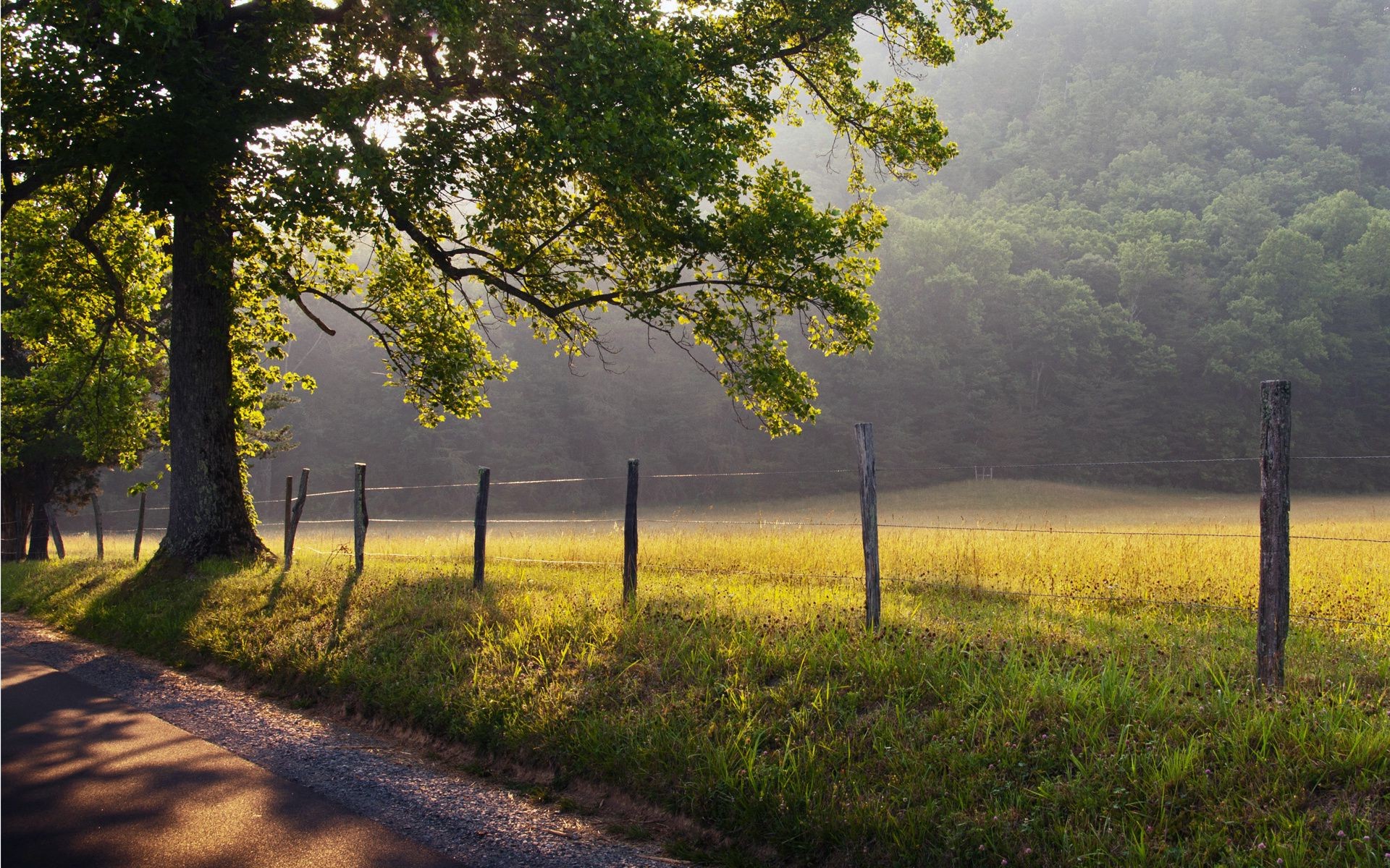 paisaje paisaje árbol naturaleza madera escénico carretera otoño amanecer al aire libre medio ambiente campo hierba hoja luz del día buen tiempo sol guía rural parque