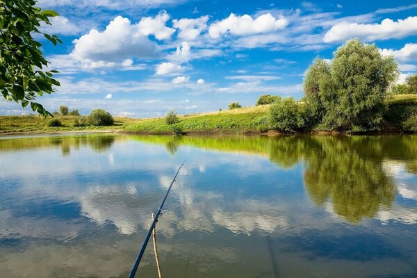 Vue imprenable sur la nature et son reflet