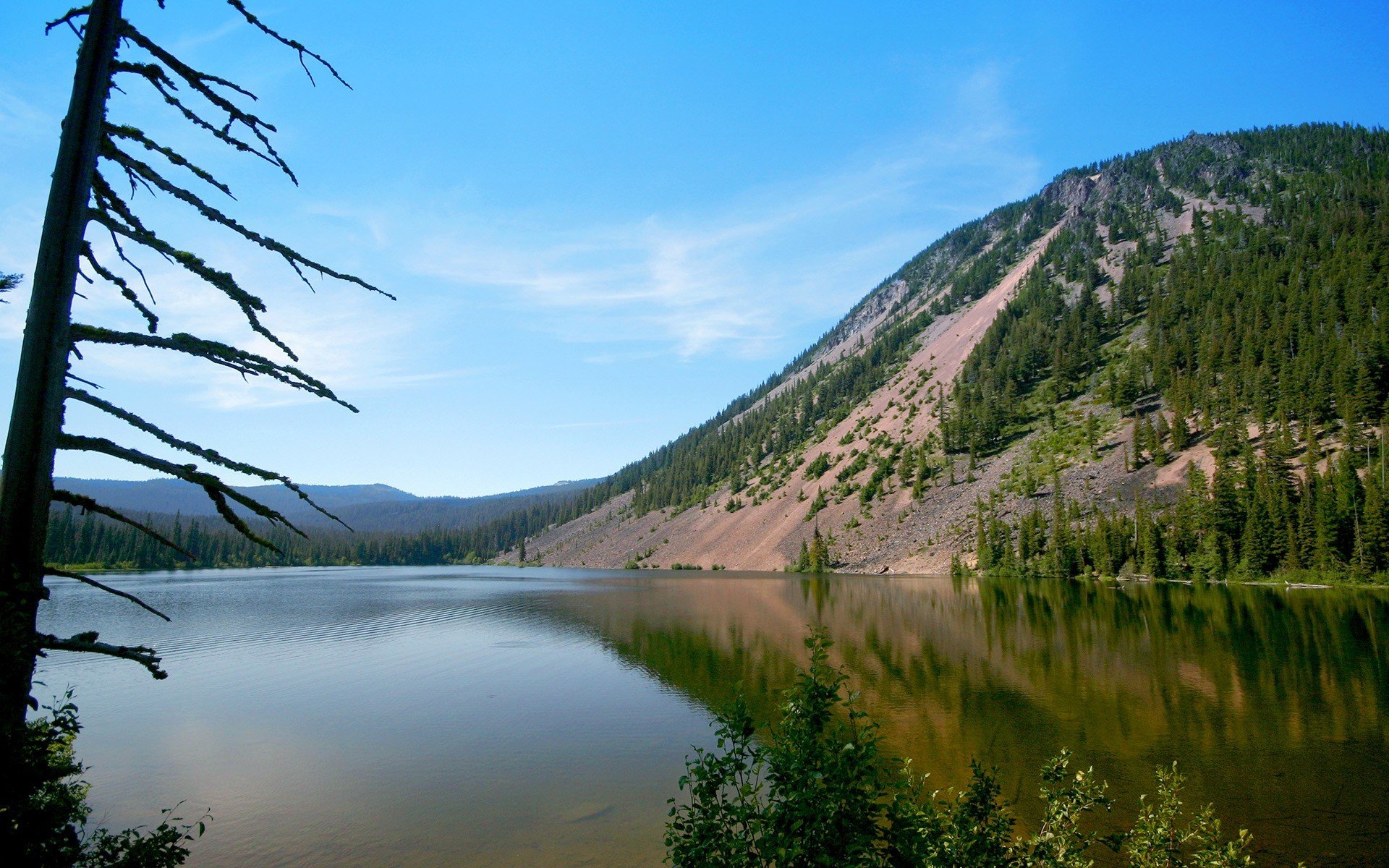 гора склон море дерево пляж берег вода