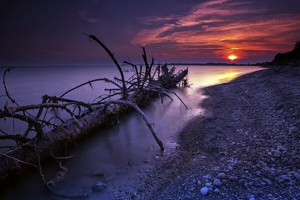 Красивый морской пейзаж. Море на закате