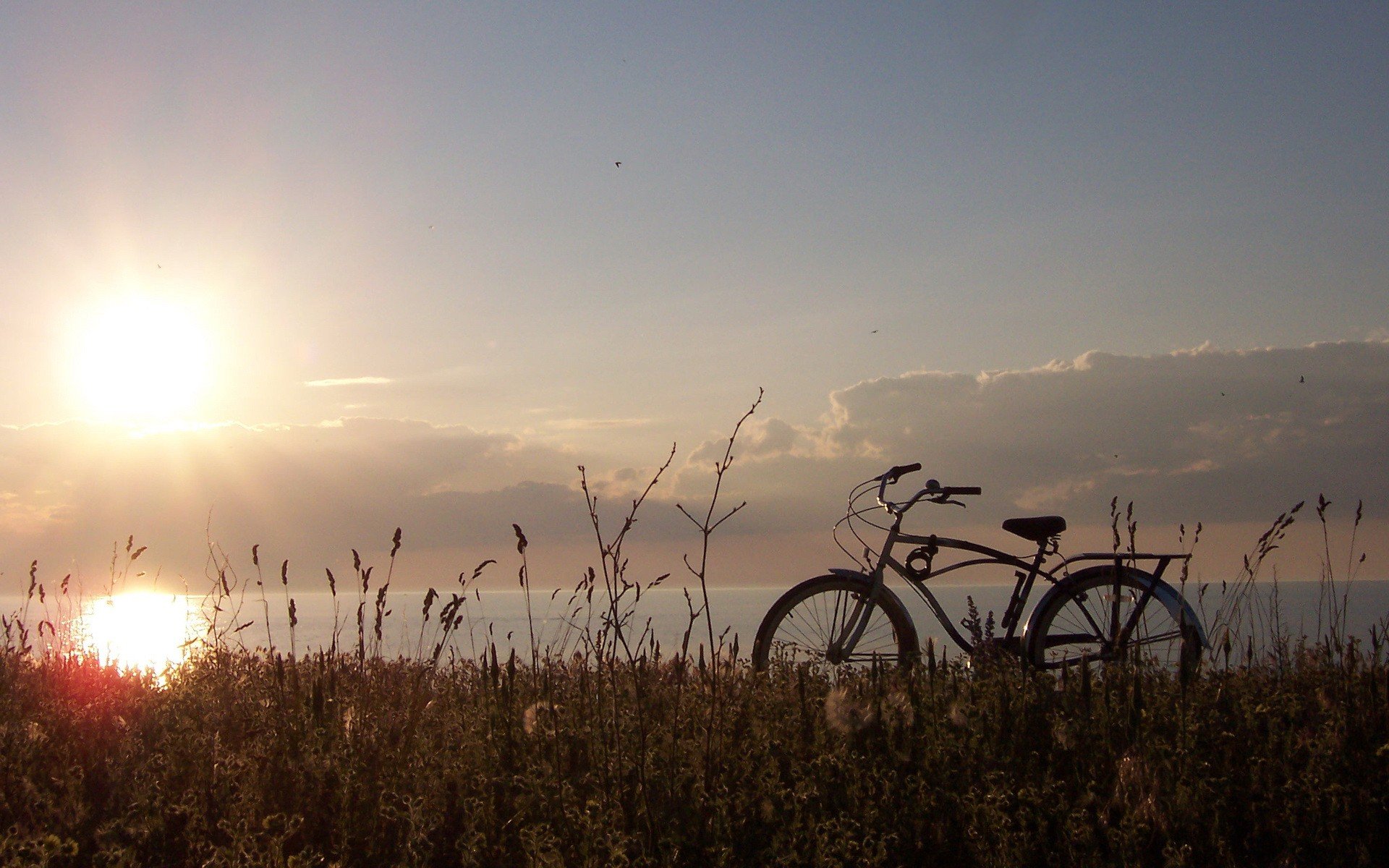 велосипед солнце трава