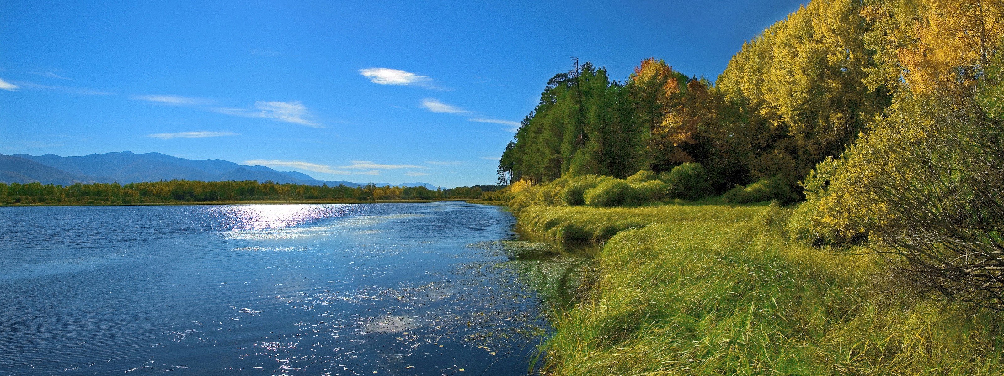 берег лето озеро