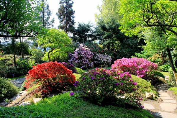 Аллея парка с красивыми цветами