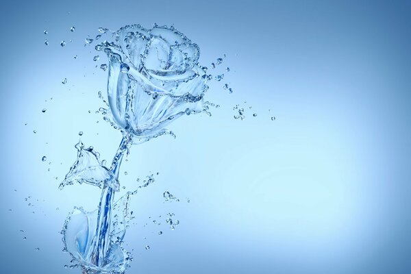 Картинка прозрачной розы из воды