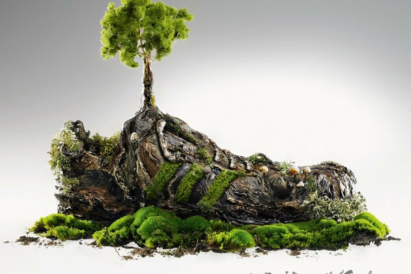 Грязный кроссовок растение искусство