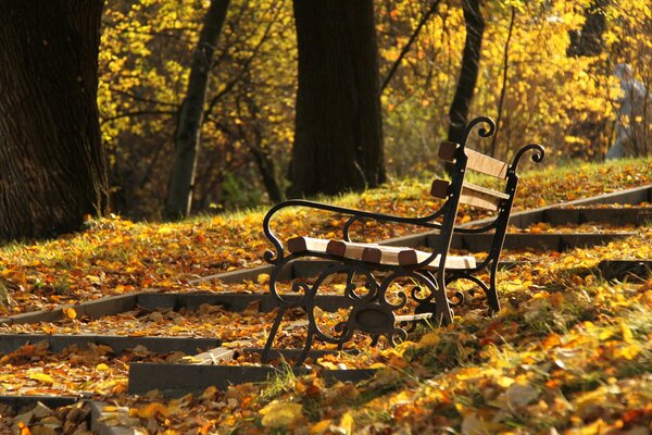 Скамейка рядом с лестницей в осеннем парке