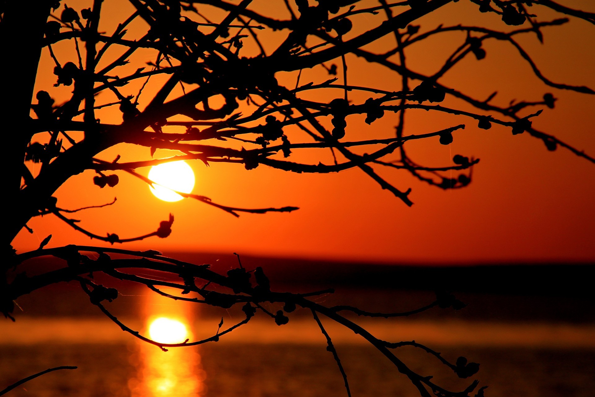 on vacation sunset dawn sun evening silhouette dusk backlit light tree fall nature sky landscape gold fair weather