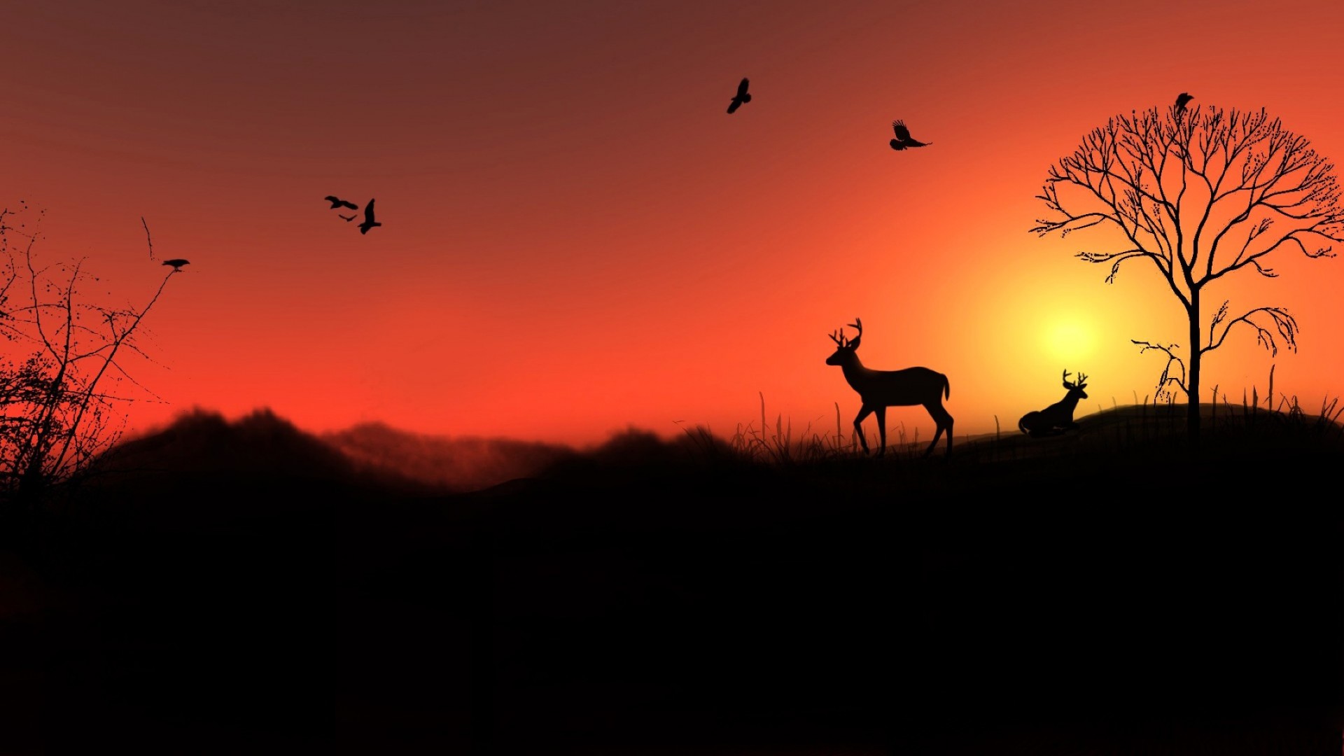 sonnenuntergang und dämmerung silhouette sonnenuntergang hintergrundbeleuchtung dämmerung abend landschaft himmel baum safari sonne dämmerung tierwelt licht natur