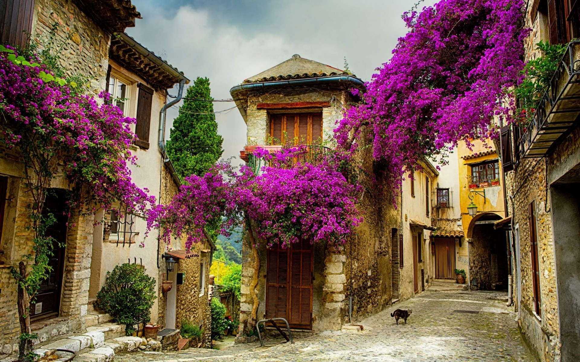 house and comfort architecture building house travel street exterior town old ancient city traditional family tourism outdoors flower window